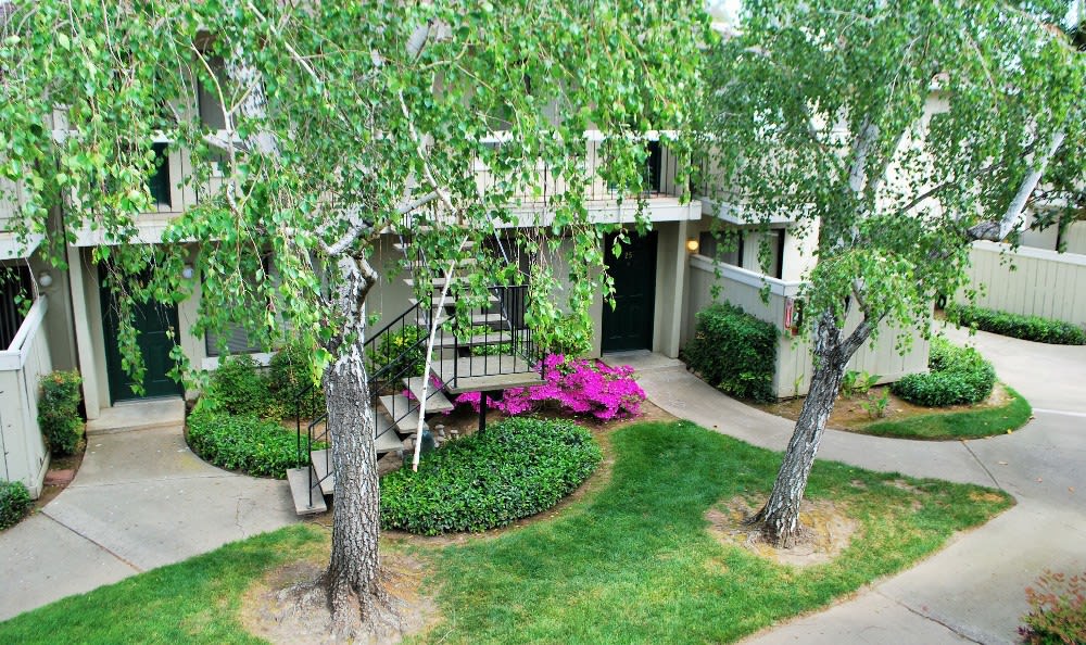 Beautiful landscaping at California Center Apartments in Sacramento, California
