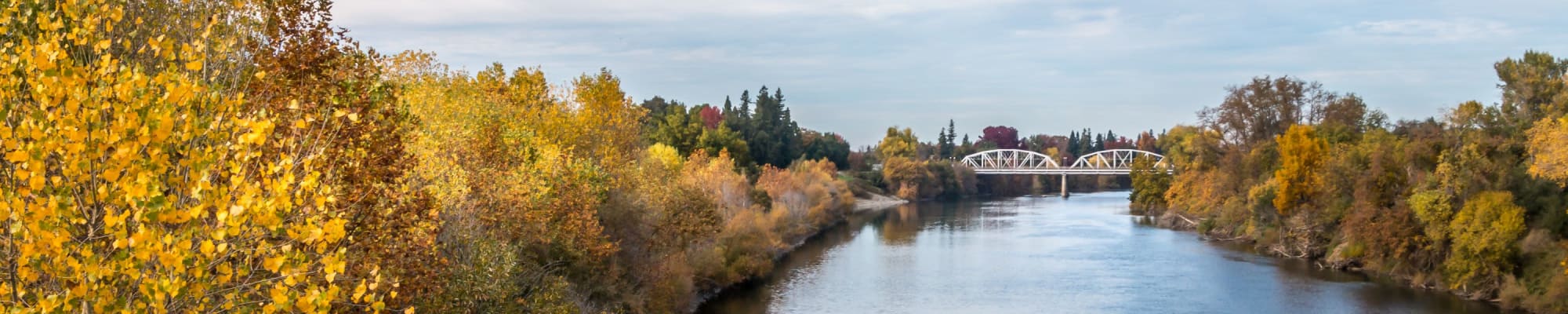 Privacy Policy of Ray Stone Apartments