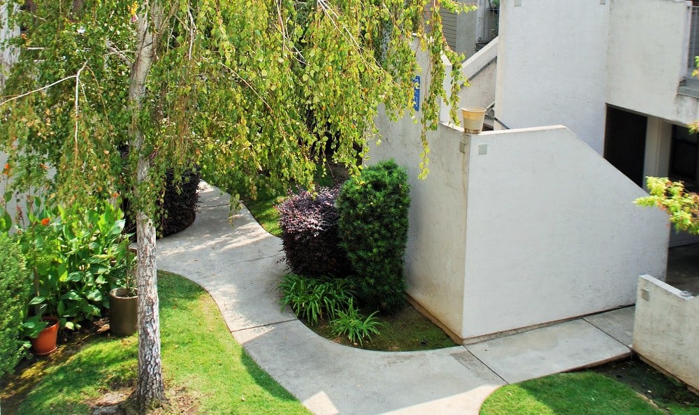 Trees and landscaping at River's Edge Apartments in Lodi, California