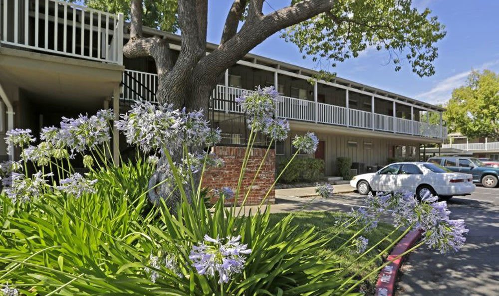 Parking for Castle Hill Apartments in Sacramento, California