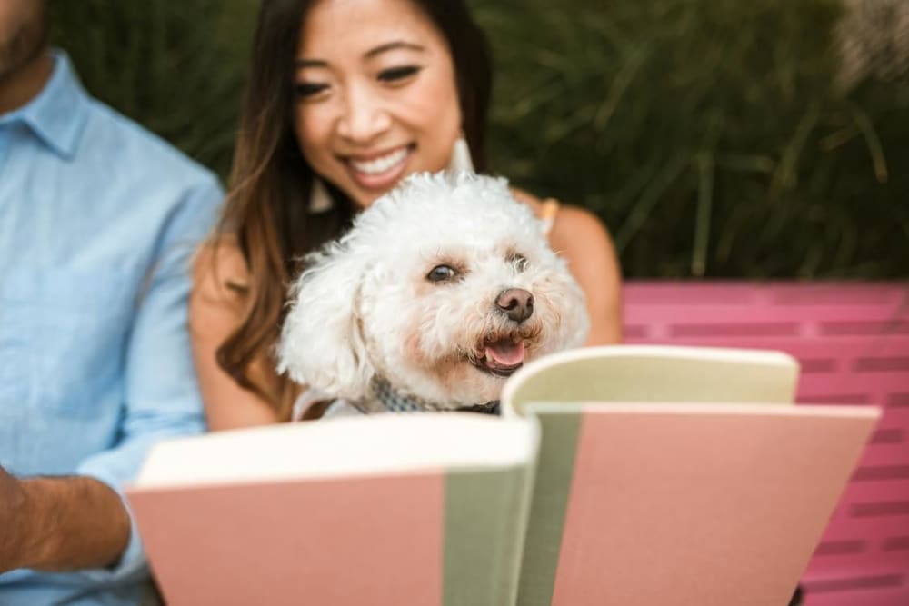 Happy resident with dog at Meritage Apartments in Lodi, California
