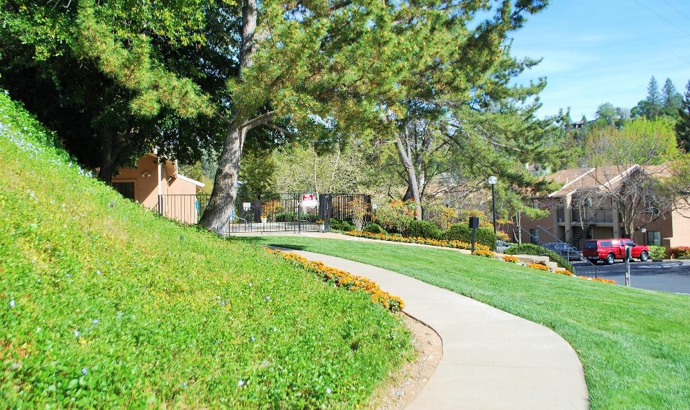 Beautiful lawns at Foothill Terrace in Auburn, California