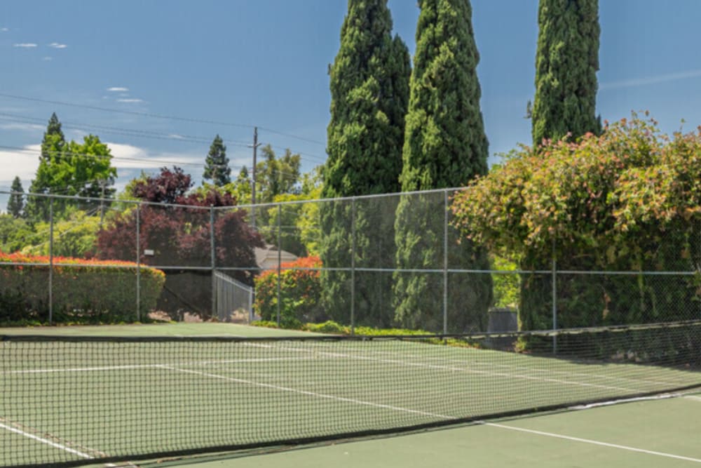 Tennis court at San Juan Hills in Fair Oaks, California