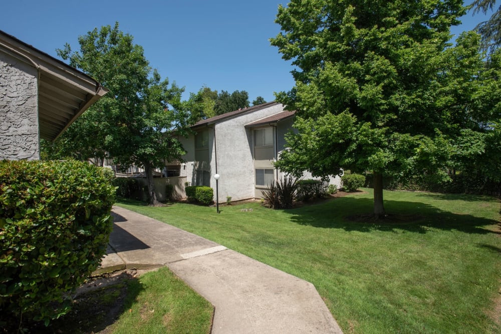 Grassy area and pathway at San Juan Hills in Fair Oaks, California